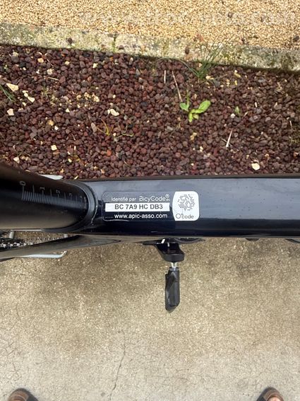 Canyon Cf Slx 8 - 4