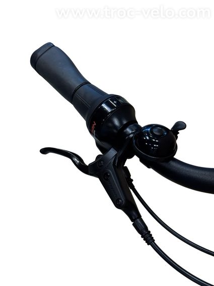 Diamant Beryll Gen 3 Vélo électrique Shimano Nexus 2024 - 5