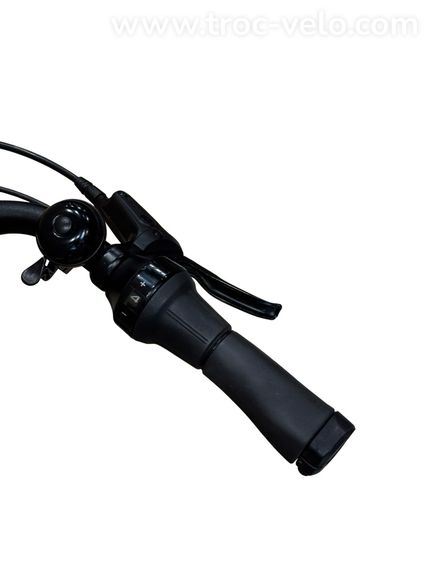 Diamant Beryll Gen 3 Vélo électrique Shimano Nexus 2024 - 7
