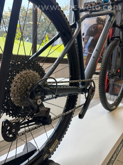 VTT Orbea Alma - 4
