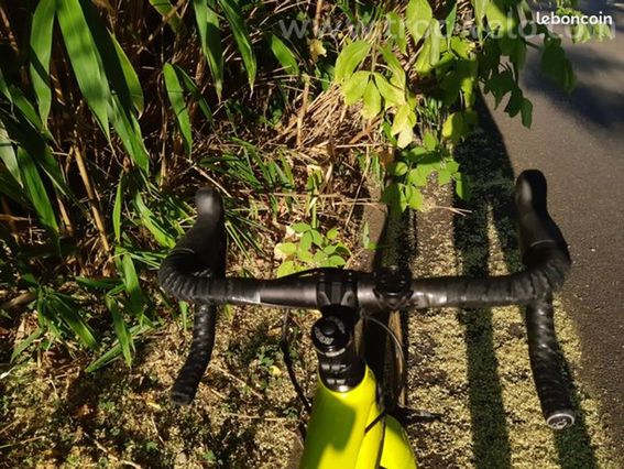 Giant Cyclo-Cross CX - 3