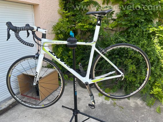 Vélo route carbone T56