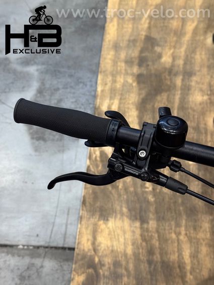 Bulls E-Stream EVO 1 29 inch VTT électrique Shimano XT 2023 - 5