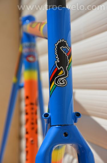 Cadre et fourche de vélo de course vintage Cavallo Marino en tubes Columbus UltraFoco - 3