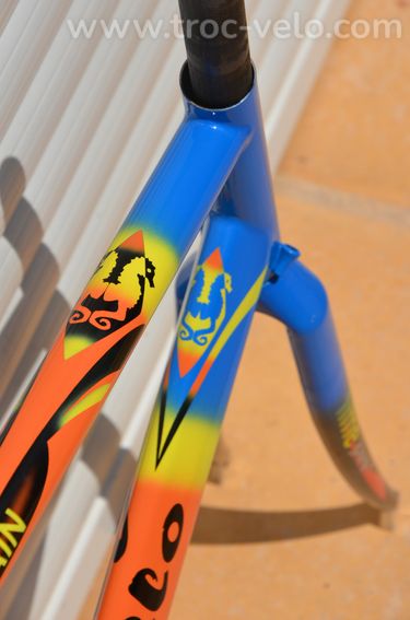 Cadre et fourche de vélo de course vintage Cavallo Marino en tubes Columbus UltraFoco - 9
