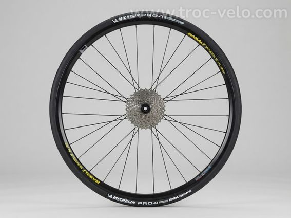 Paire de roues BasaltWheels AL20 à disque