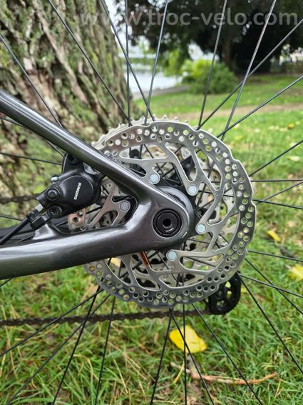 ORBEA ALMA M50 Carbone - 2