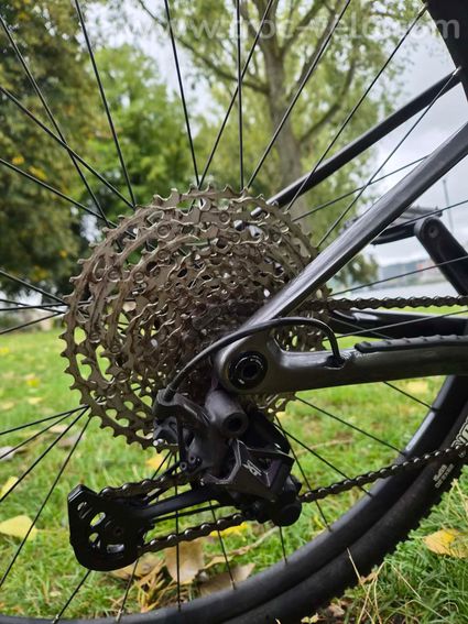 ORBEA ALMA M50 Carbone - 3