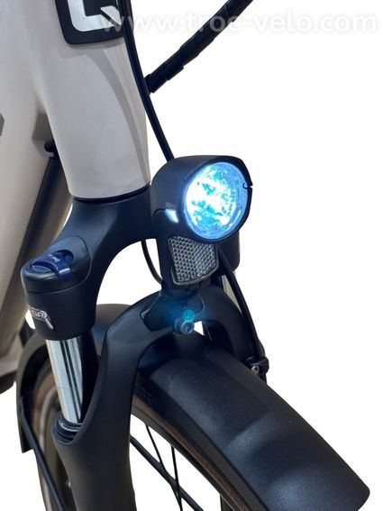 Qwic Premium i MN7 Vélo électrique Shimano Nexus 2021  - 4