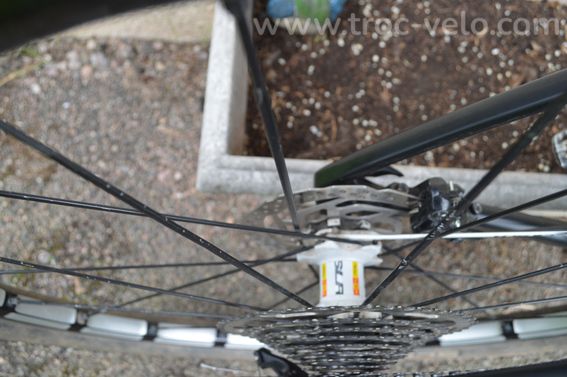 Cannondale carbone L/XL - 3
