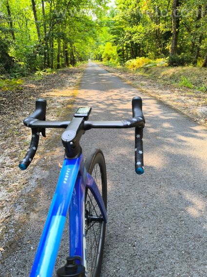 giant propel advanced sl - 4