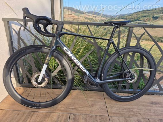 Orbea orca