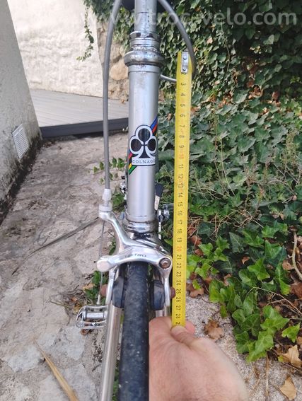 Colnago vintage - 5