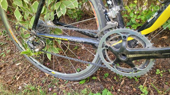 Vélo de course Wilier Triestina Mortirolo – Cadre carbone, taille S/M (Grand S) - 7