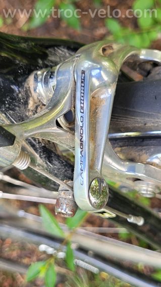 Vélo de course Wilier Triestina Mortirolo – Cadre carbone, taille S/M (Grand S) - 10
