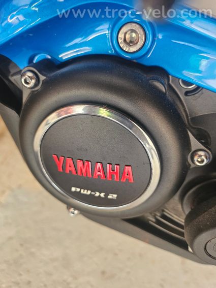 Vtt électrique - 3