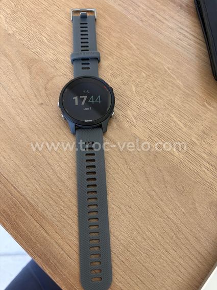 garmin forerunner 255