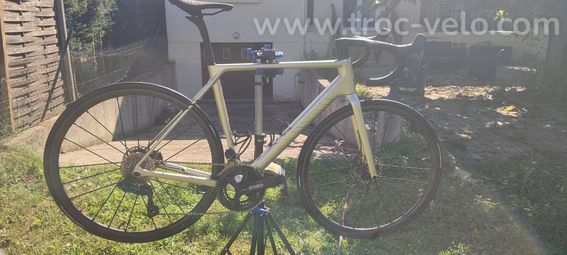 Canyon ultimate cfr disc aero  - 3