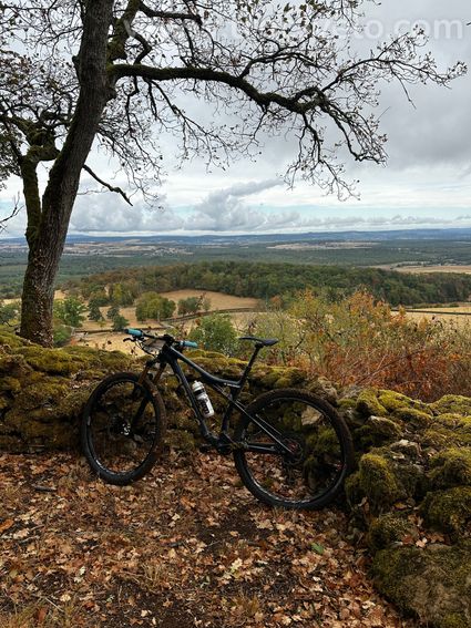Orbea Oiz omx