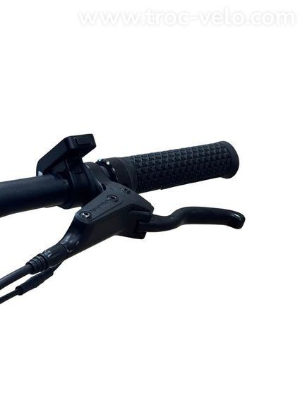 Tenways CGO600 Vélo électrique Single-Speed 2022  - 6