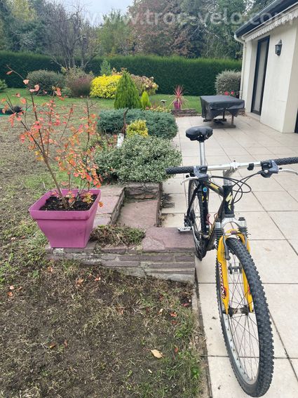 VTT Rockhopper SPECIALIZED