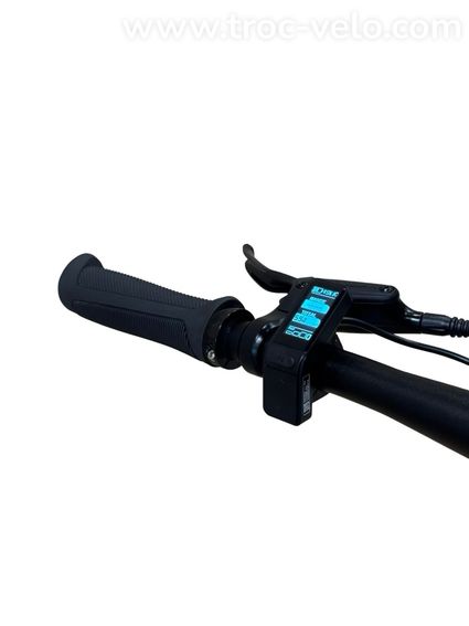 Tenways CGO600 PRO Vélo électrique Single-Speed 2023  - 7