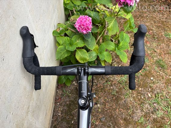 Giant TCR Advanced 2 - 3