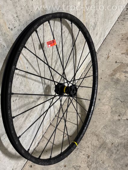 Mavic Deemax Pro Sam Hill Avant 29’’ - 2