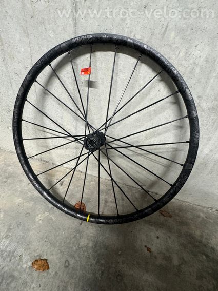 Mavic Deemax Pro Sam Hill Avant 29’’ - 3