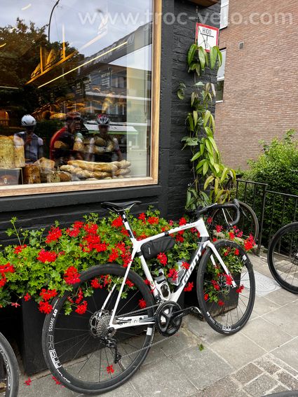 GIANT TCR Advanced SL (Taille L) – Freins à disques - 12