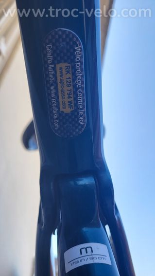 Trek fx 4 sport carbon 2021 - 2