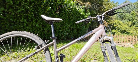Vélo go sport - 6