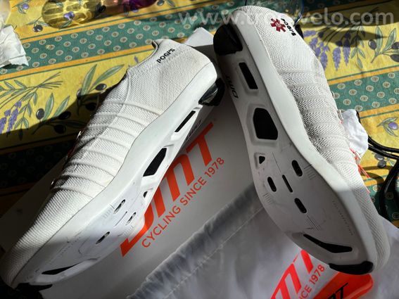 chaussure DMT POGIS - 5