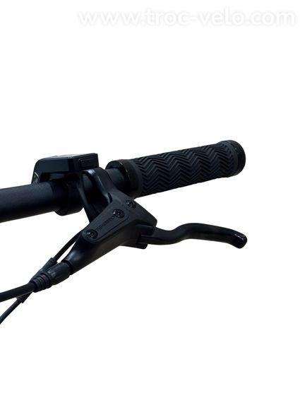 Tenways CGO600 Vélo électrique Single-Speed 2023 - 6