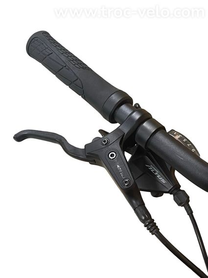 Giant DailyTour E+ 3 LDS Vélo électrique Shimano Alivio 2022 - 5