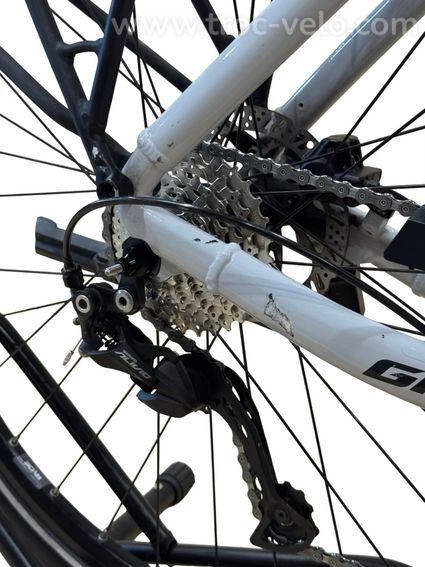Giant DailyTour E+ 3 LDS Vélo électrique Shimano Alivio 2022 - 14