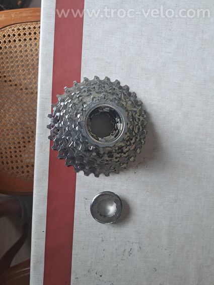 Cassette et chaine campagnolo veloce 10v - 2