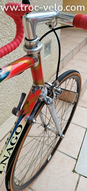 Colnago Master Olympic 56x56 - 4