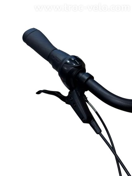 Hercules Intero I-R8 Vélo électrique Shimano Nexus 2022  - 5