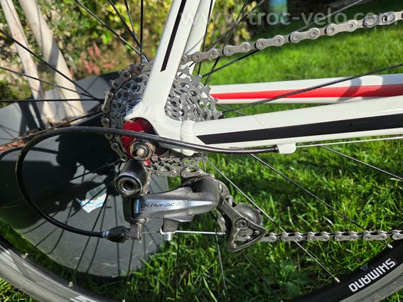 Cube Peloton PRO - 9