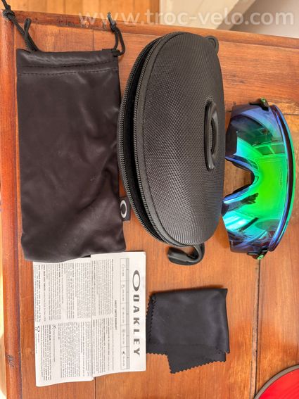 Oakley Encoder Prizm - 2