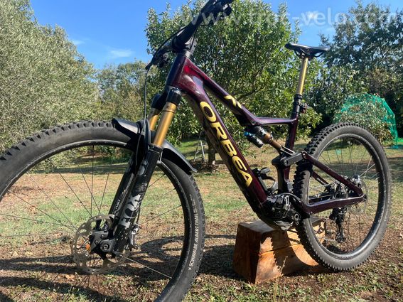 Orbea Rise M- team