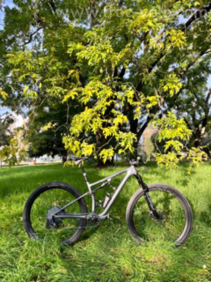 Specialized Sworks Epic Evo Rs LTD - 2