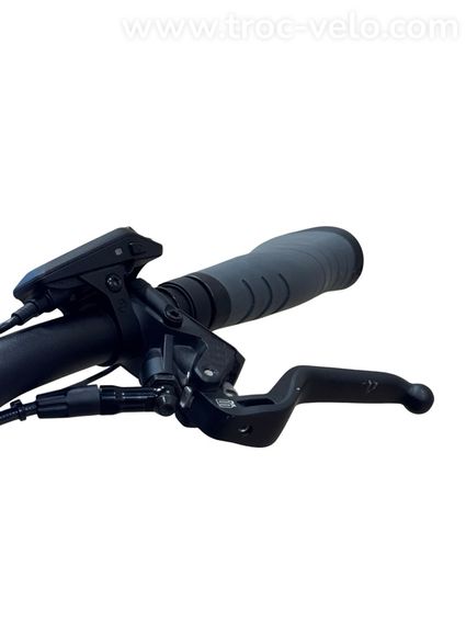 Riese & Müller Charger4 GT Vario Vélo électrique Enviolo 2024 - 5