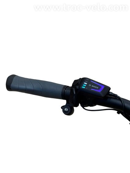Riese & Müller Charger4 GT Vario Vélo électrique Enviolo 2024 - 6