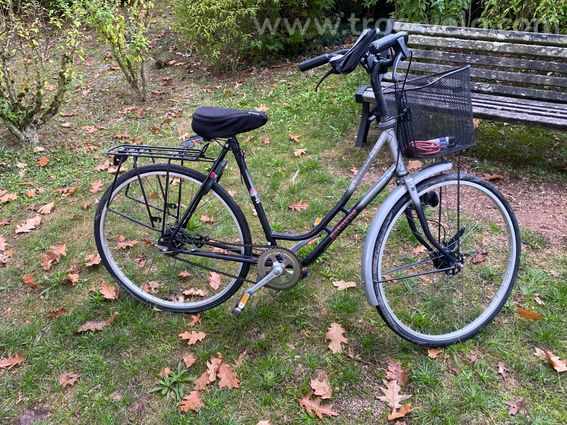 VTC BATAVUS Piazza made in holland - 2