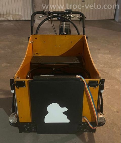 Triporteur cargo - 2
