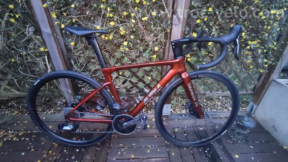 Vélo de route Alpha Thunders SL - 2