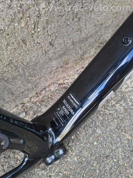 Cadre Merida Scultura 6000 CF3 V - 5