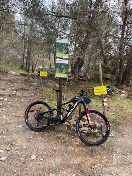 Santa Cruz Bullit vttae